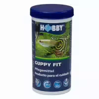 Hobby Guppy Fit Unterstützt Die Heilung Weißer Flecken