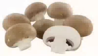 Hofwerte Creme Champignons
