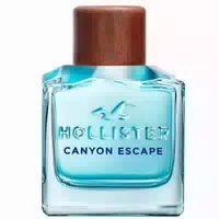 100 ml