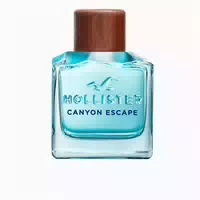 Hollister Canyon Escape Eau De Toilette Spray 100ml 0,1 l