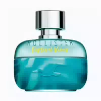 Hollister Festival Vibes Him Eau De Toilette Spray 100ml 0,1 L