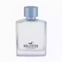 Hollister Free Wave Eau De Toilette Spray 100ml 0,1 L