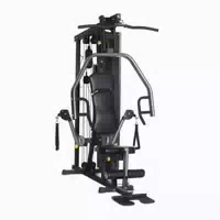 Horizon Fitness Torus 3 Kraftstation 1 st