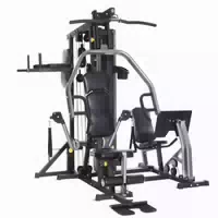 Horizon Fitness Torus 5 Kraftstation