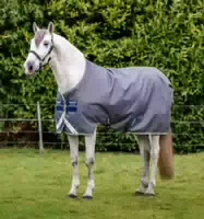 Horseware Amigo Bravo 12 Original Turnout
