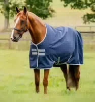Horseware Amigo Ripstop 900d Turnout