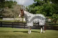 Horseware Fliegendecke Amigo Camofly 3 In 1 Plus