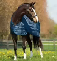 Horseware Unterdecke Dry Liner