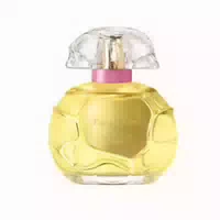 Houbigant Ambre Rubis Eau De Parfum Edp 100 ml