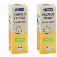 Hoyer Bio Propolis Extrakt Tropfen 30 ml Tropfen