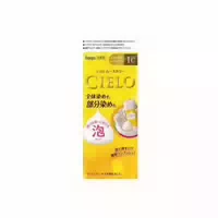 Hoyu Cielo Mousse Hair Color 100g 1c Pretty Bright Caramel Brown