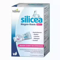 Hübner Silicea Balsam Magen Darm Direkt 225 ml