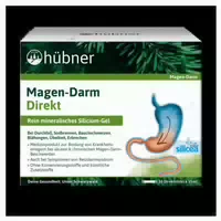 Hübner Silicea Balsam Magen Darm Direkt 450 ml