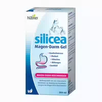 Hübner Magen Darm Gel 500 ml
