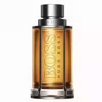 Hugo Boss Boss The Scent Eau De Toilette Boss The Scent For Him Edt 200ml Refill