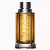 Hugo Boss The Scent For Him, Edt 100 Ml 0,1 L