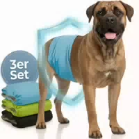 Hund Ist König Hundewindeln für Rüden