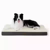Hundebett Orthopädisch Groß Waschbar l 91 X B 69 X H 8 cm Gr 1 st