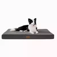 Hundebett Orthopädisch Waschbar Große l 91 X B 69 X H 8 cm D 1 st