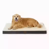 Hundebett Orthopädisches Groß l 112 X B 81 X H 8 cm Grau bei 1 st