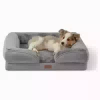 Hundebett Orthopädisches Hundesofa Waschbar l 71 X B 58 X H 1 st