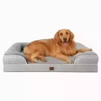 Hundebett Orthopädisches Memory Foam l 112 X B 81 X H 18 cm 1 st