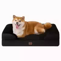 Hundebett Orthopädisches Memoryfoam l 89 X B 56 X H 17 cm Be 1 st