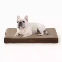 Hundebett Orthopädisches Waschbar Flauschig l 76 X B 51 X H 1 st