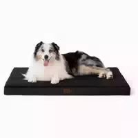 Hundebett Orthopädisches Waschbar l 104 X B 74 X H 9 cm Dunk 1 st