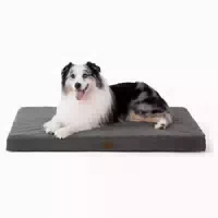 Hundebett Orthopädisches Waschbar l 104 X B 74 X H 9 cm Dunk 1 st