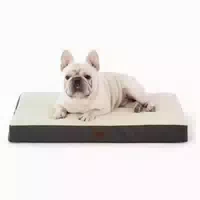 Hundebett Orthopädisches Waschbar l 76 X B 51 X H 8 cm Navyb 1 st
