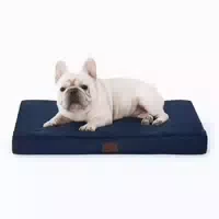 Hundebett Orthopädisches Waschbar l 76 X B 51 X H 8 cm Navyb 1 st