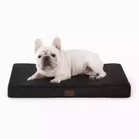 Hundebett Orthopädisch Waschbar Dunkelgrau l 60 X B 45 X H 7 1 st