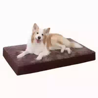 Hundebett Orthopädisches Xl 105x70x8cm Pralinen l 105 X B 70 1 st