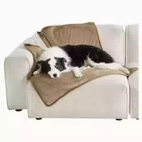 Hundedecke Wasserdicht 100x120cm Sherpa Fleece l 100x120cm 1 st
