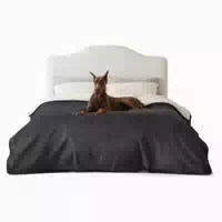 Hundedecke Wasserdichte Waschbar Sherpafleece m 80x100cm C 1 st