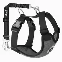 Hundegeschirr Sicherheitsgurt Auto Karabinerhaken Schnalle X 1 st