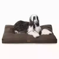Hundekissen 120x90cm Xxl Waschbar Tiefschwarz l 120 X B 90 X 1 st