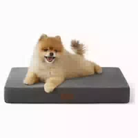 Hundekissen Orthopädisch Memoryschaum l 61 X B 41 X H 8 cm D 1 st