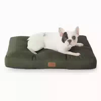 Hundekissen Waschbar Gepolstert Outdoor Grün l 76 X B 50 X H 1 st