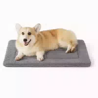 Hundematte Waschbar Mittelgroße Hunde Schaumstoff 74 X 46 cm 1 st