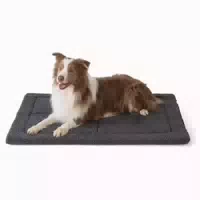 Hundematte Waschbar Katzenbett Sherpa Plüsch 61 X 46 cm Dunk 1 st
