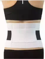 Rücken Stützgürtel Standard Xxl