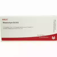 Mesenchym Gl D 12 Ampullen