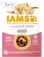 Iams Cat 1 mit Lachs & Forelle in Gelee