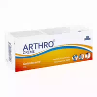 Ice Power Arthro Creme 60 G Creme