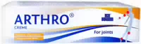 Ice Power Arthro Creme 60 g Creme