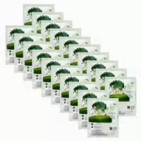 Iea Green Sofort Kalt Kompresse 10er Box 10 st