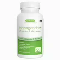 Igennus Ashwagandha Ksm 66 Wurzelextrakt Mit L Theanin & Magnesium 60 St