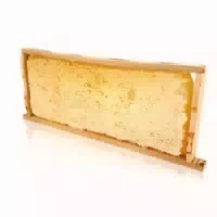 Imkerpur Ganzes Wabenrähmchen
